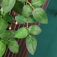 uploads/erp/collection/images/Home Garden/CongDing/XU0611212/img_b/XU0611212_img_b_3